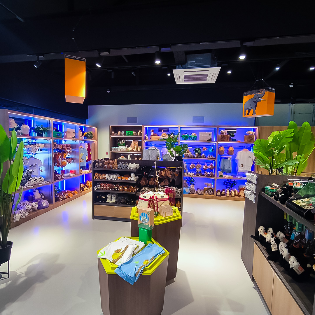 Retail renovation and interior fabrication project for Mandai Night Safari, featuring custom carpentry and branded fixtures.
