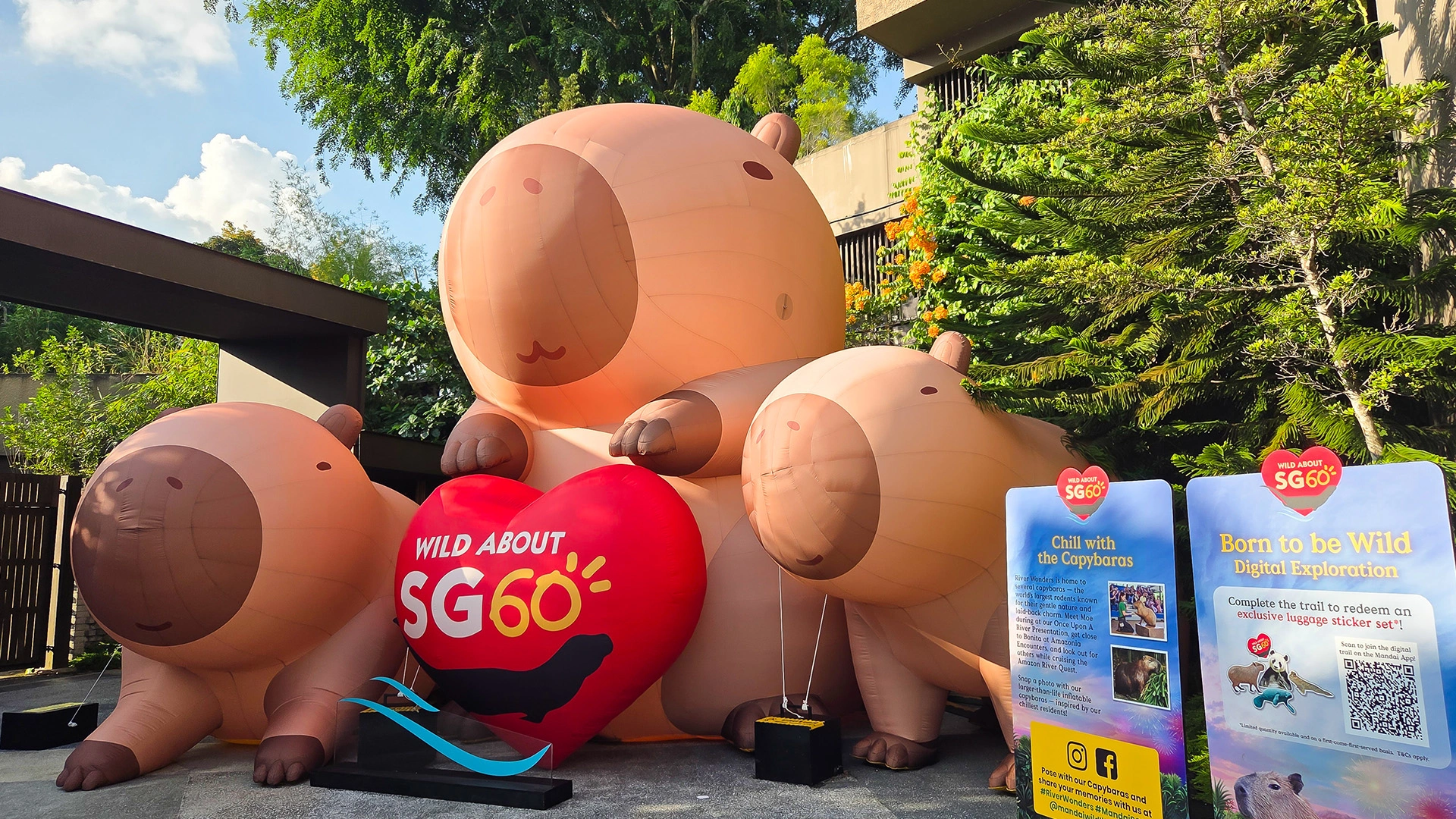 Mandai Wildlife Reserves Zoo Wild about SG60 capybara inflatable